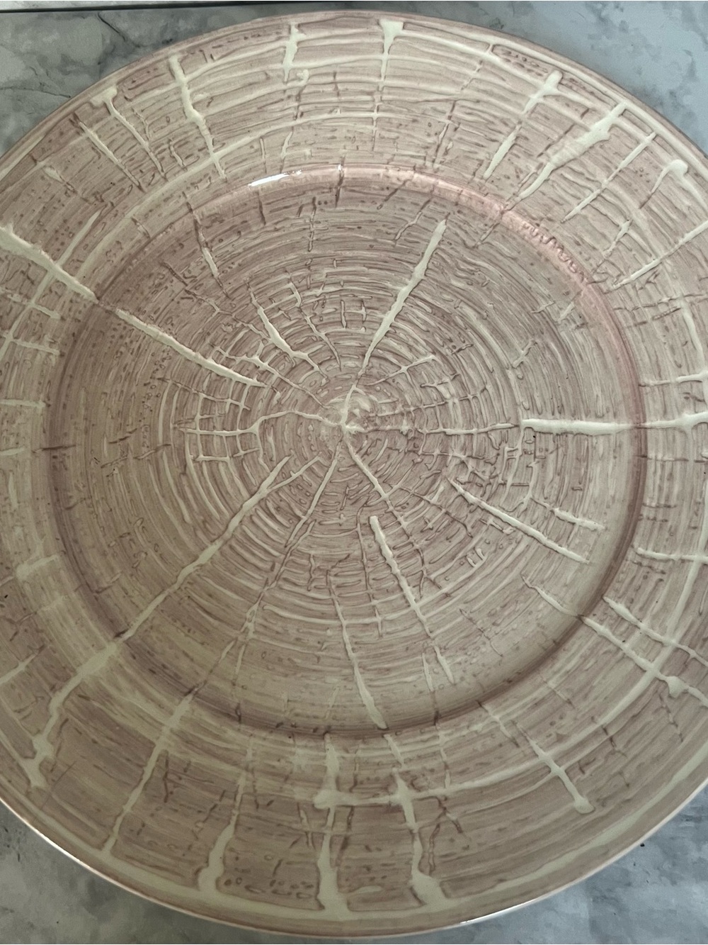 Anthropologie Tree Ring Dinner Plate | Woodgrain Faux Bois Ceramic